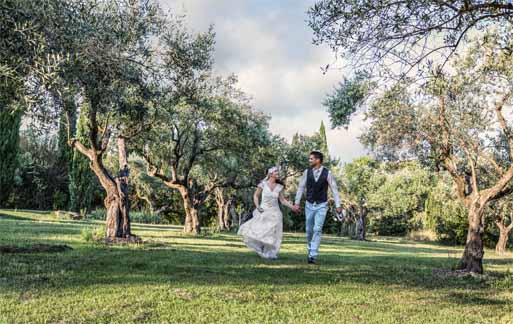 Les mariés courent dans une allée d'oliviers